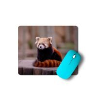 vörös panda egérpad 003
