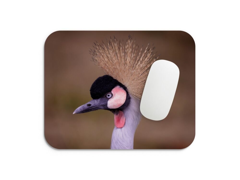 szürkenyakú koronásdaru egérpad 002