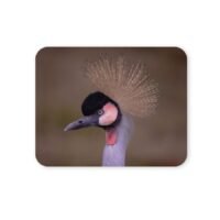 szürkenyakú koronásdaru egérpad 004