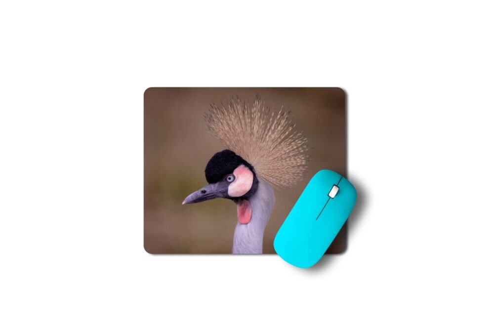 szürkenyakú koronásdaru egérpad 003