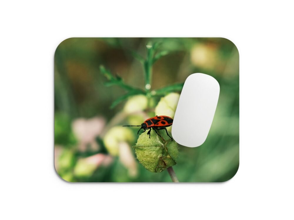 bodobács egérpad 002