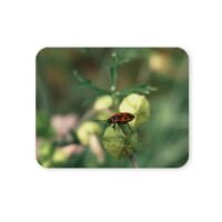 bodobács egérpad 004