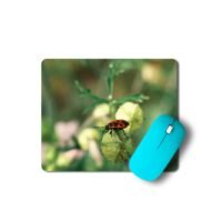 bodobács egérpad 003