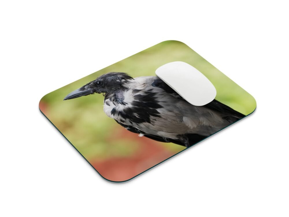 madár mintás egérpad 001