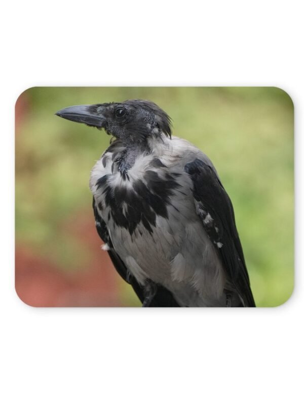 madár mintás egérpad 004