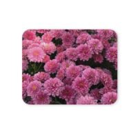 krizantém egérpad 004