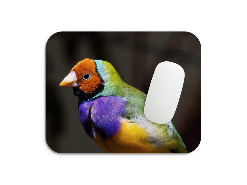 Gould-pinty egérpad 002