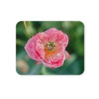 lótuszvirág egérpad 004