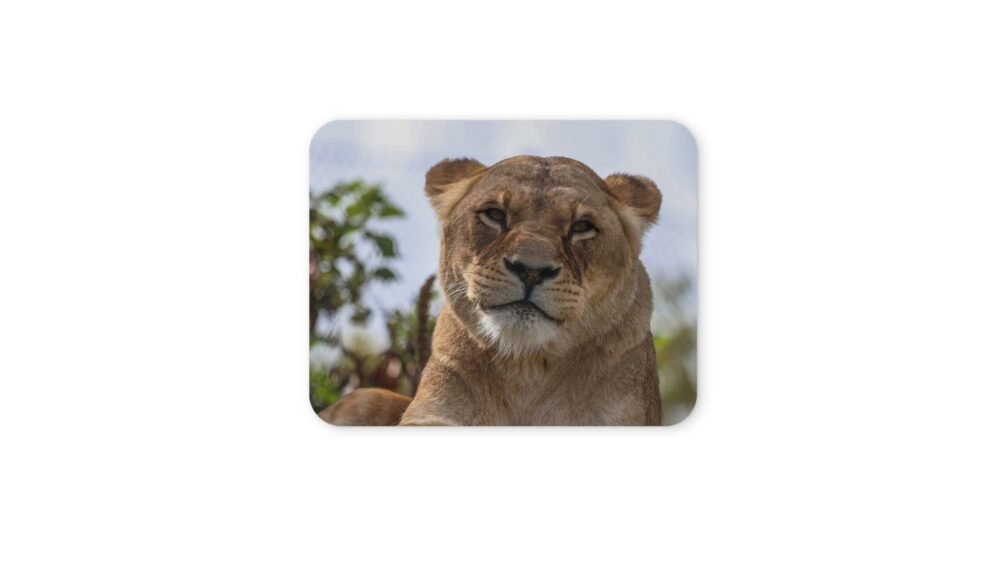 oroszlános egérpad 004