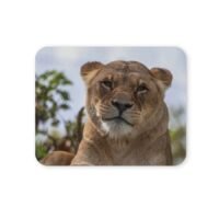 oroszlános egérpad 004