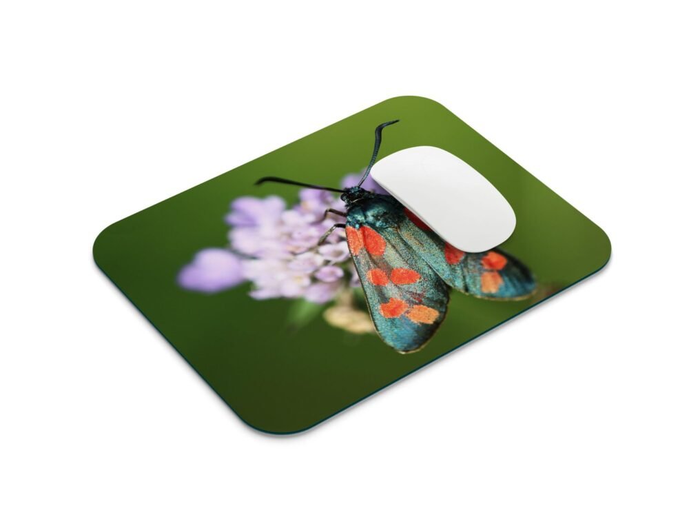 lepke egérpad 001