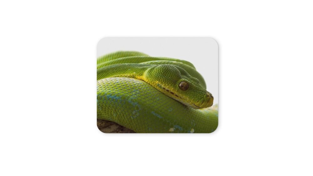 zöld fapiton egérpad 004