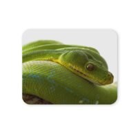 zöld fapiton egérpad 004