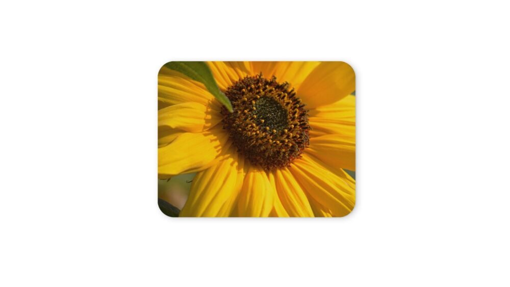 napraforgó egérpad 004