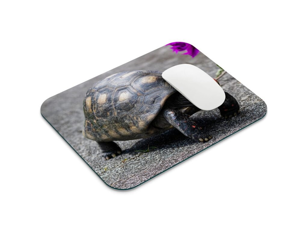 vöröslábú teknős egérpad 001