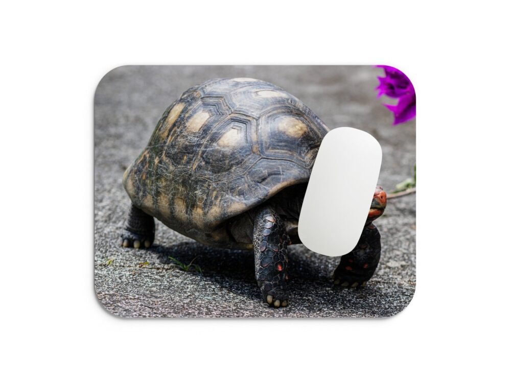 vöröslábú teknős egérpad 002