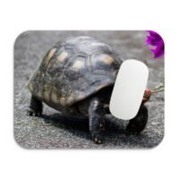 vöröslábú teknős egérpad 002