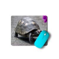 vöröslábú teknős egérpad 003