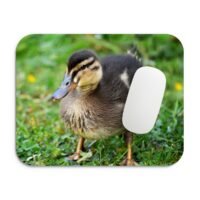 kiskacsa egérpad 002