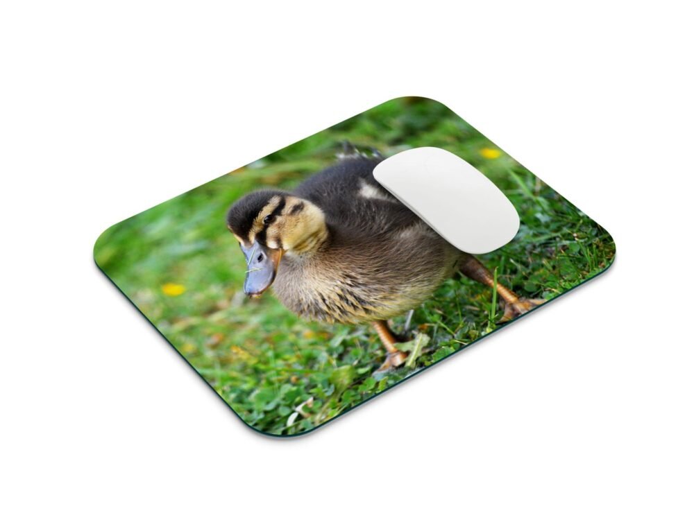 kiskacsa egérpad 001