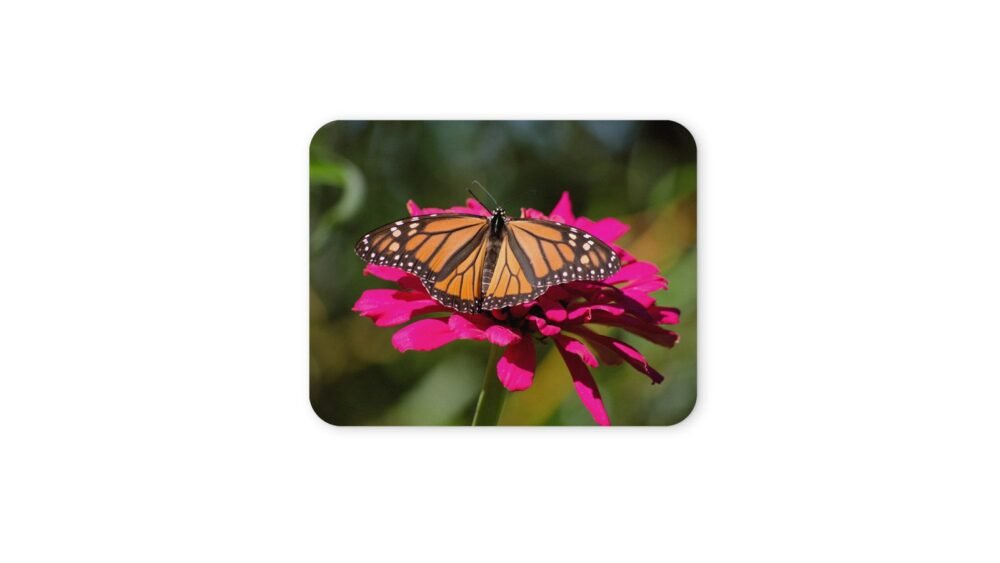 pillangós egérpad 004