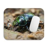 szarvasbogár egérpad 002