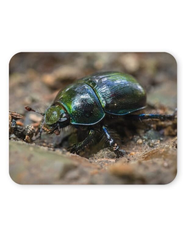 szarvasbogár egérpad 004