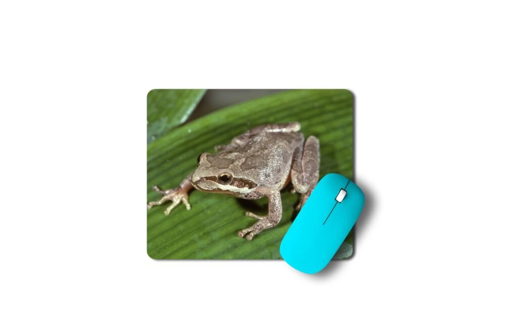 levelibéka egérpad 003