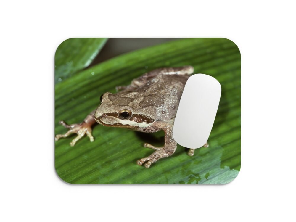 levelibéka egérpad 002