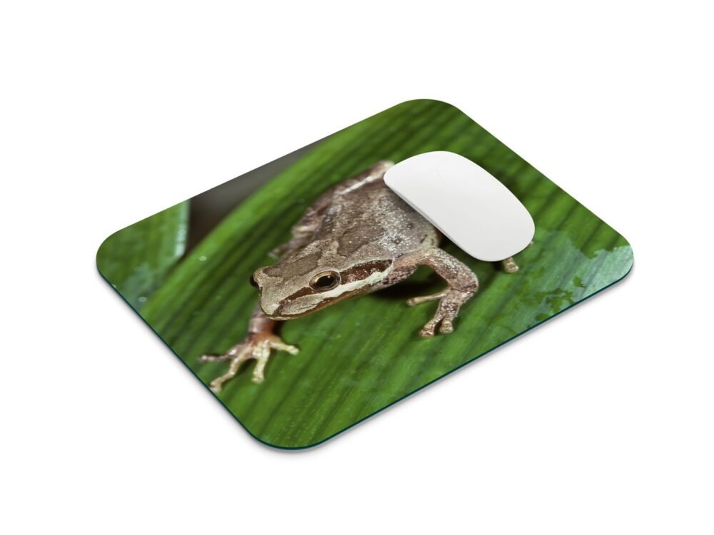 levelibéka egérpad 001