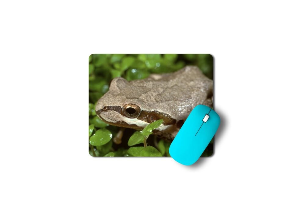 kecskebéka egérpad 003