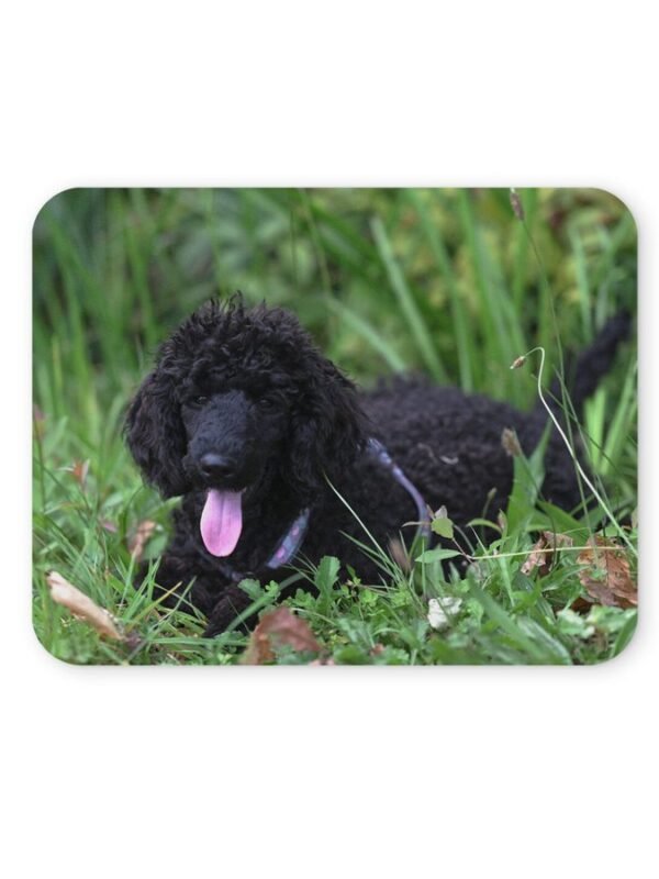 kutyás egérpad 004