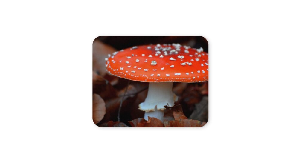 légyölő galóca egérpad 004