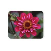 dália virág egérpad 004