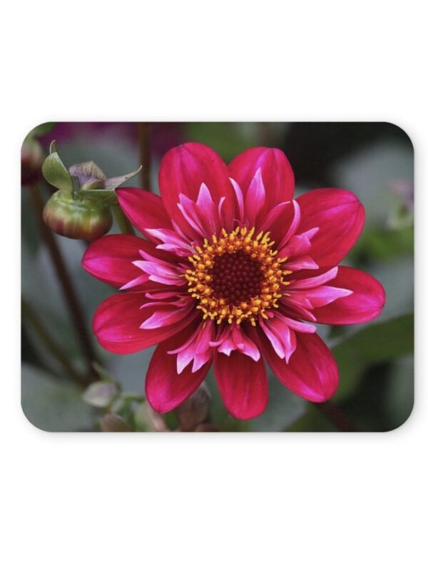 dália virág egérpad 004