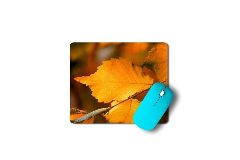 őszi egérpad 003