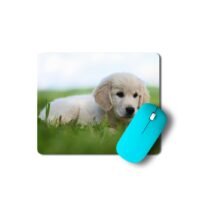 golden retriever egérpad 003