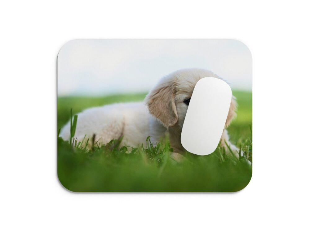 golden retriever egérpad 002