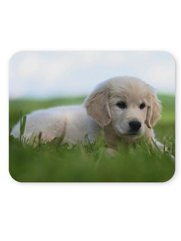 golden retriever egérpad 004