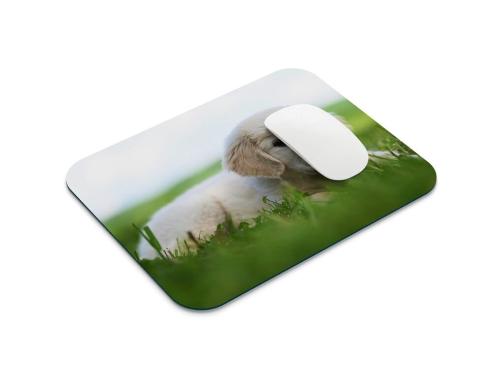 golden retriever egérpad 001