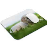 golden retriever egérpad 001