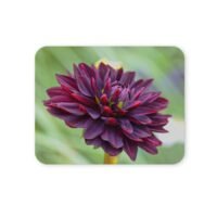 dália virág egérpad 004