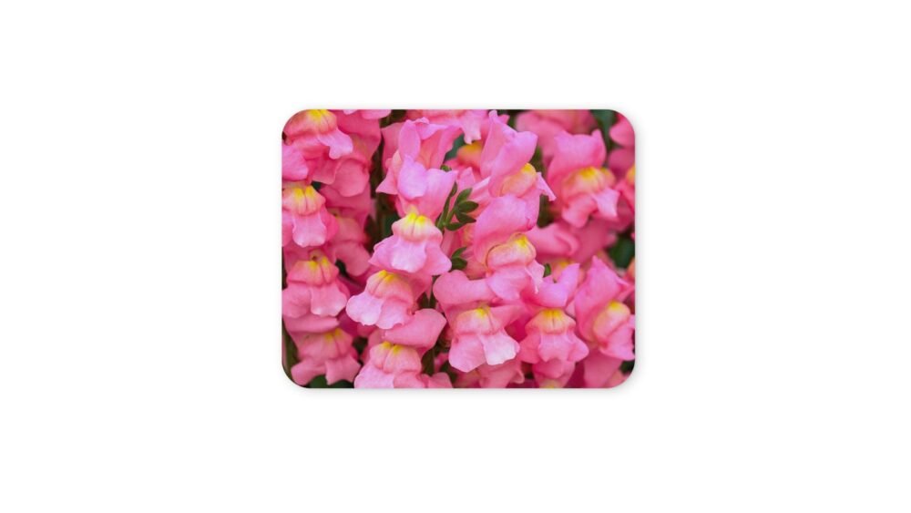 tátika virágos egérpad 004