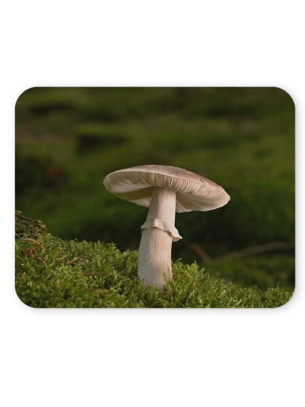 erdei gomba egérpad 004