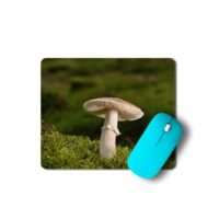 erdei gomba egérpad 003