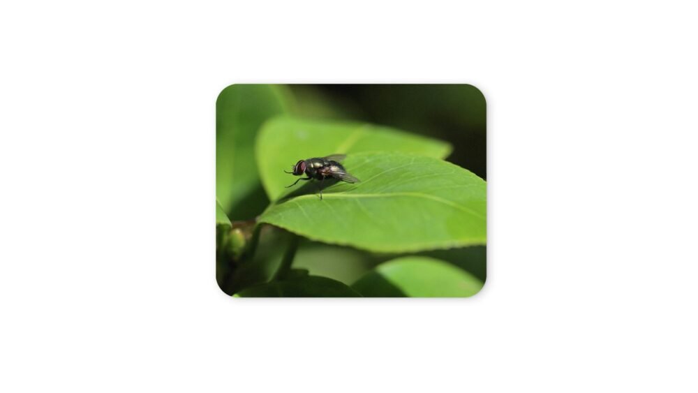 természetes egérpad 004