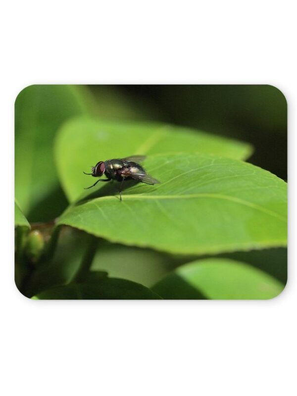 természetes egérpad 004