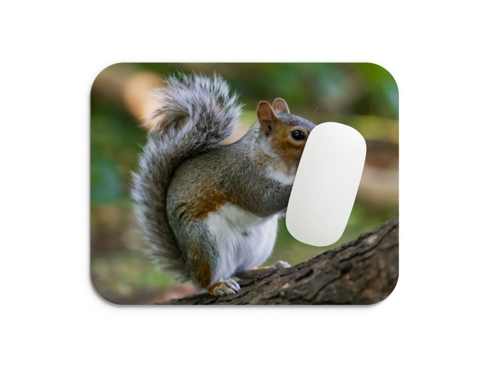 mókusos egérpad 002