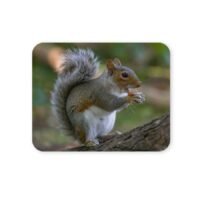 mókusos egérpad 004