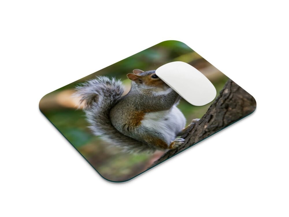 mókusos egérpad 001